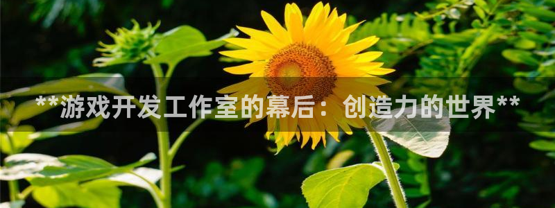沐鸣娱乐2返点