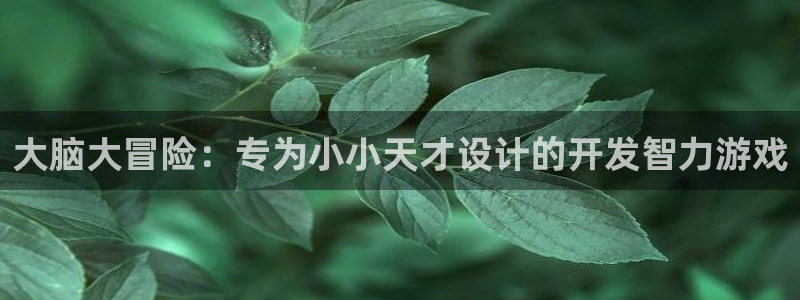 沐鸣2官网