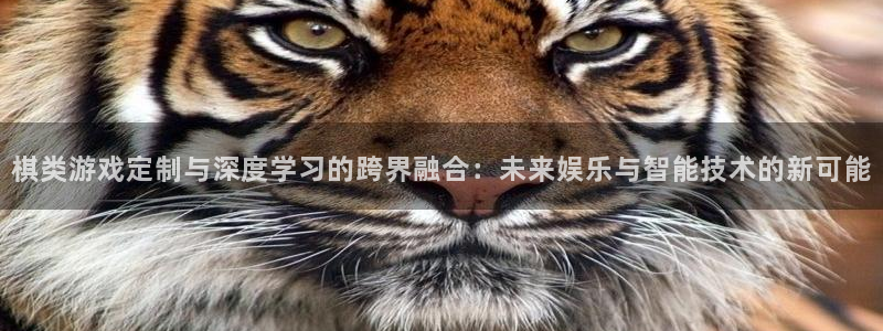 沐鸣2平台测速登录：棋类游戏定制与深度学习的跨界融合：未来娱乐与智能技术的新可能