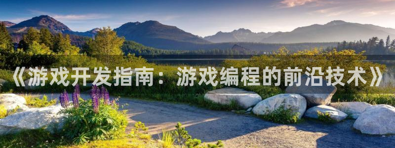 沐鸣2注册登录下载：《游戏开发指南：游戏编程的前沿技术》