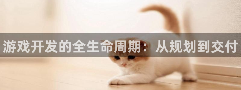 沐鸣娱乐2不能注册：游戏开发的全生命周期：从规划到交付