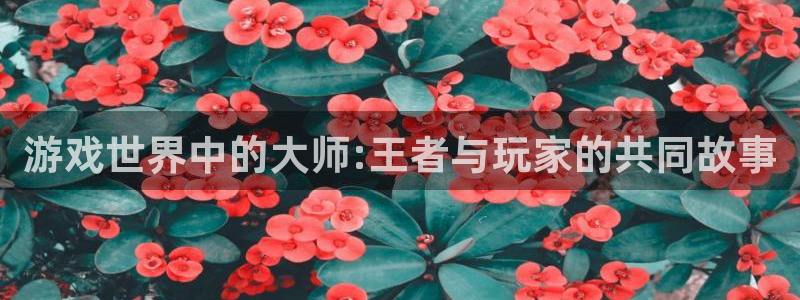 沐鸣2平台在线注册：游戏世界中的大师:王者与玩家的共同故事