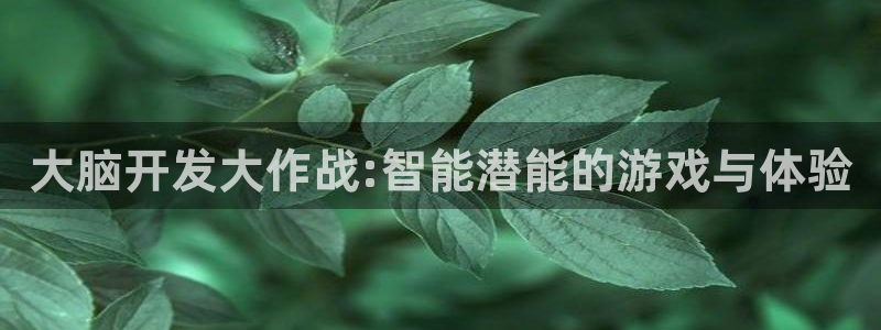 沐鸣娱乐2注册平台：大脑开发大作战:智能潜能的游戏与体验