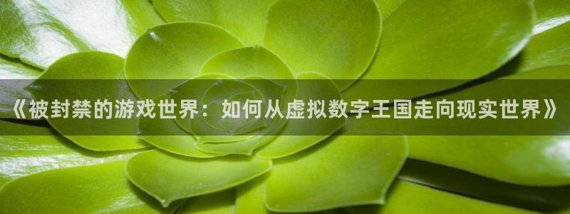 沐鸣2平台代理注册：《被封禁的游戏世界：如何从虚拟数字王国走向现实世界》