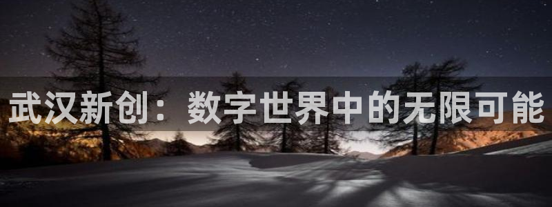沐鸣娱乐2如何找回密码