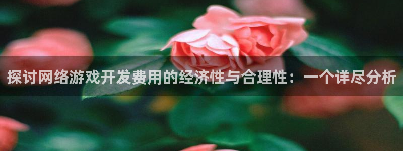 沐鸣娱乐2登陆不上怎么办：探讨网络游戏开发费用的经济性与合理性：一个详尽分析