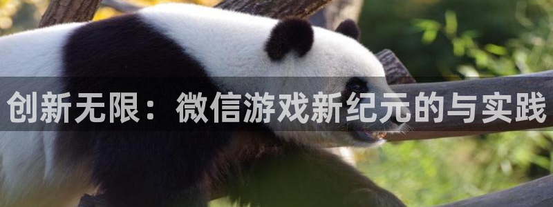 沐鸣2平台负责人：创新无限：微信游戏新纪元的与实践