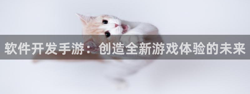 沐鸣娱乐2登录平台：软件开发手游：创造全新游戏体验的未来
