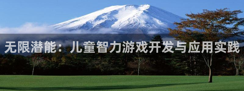 沐鸣2挂机注册：无限潜能：儿童智力游戏开发与应用实践