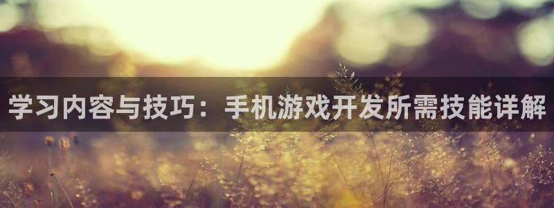 沐鸣娱乐2：学习内容与技巧：手机游戏开发所需技能详解