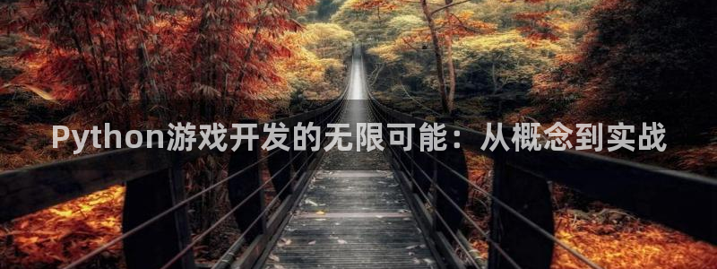 沐鸣娱乐2官网：Python游戏开发的无限可能：从概念到实战