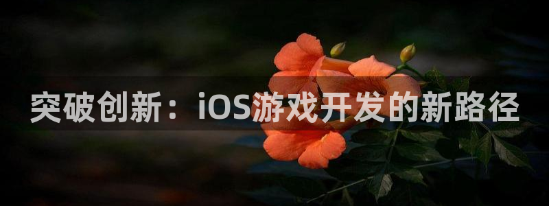 沐鸣娱乐2怎么样：突破创新：iOS游戏开发的新路径