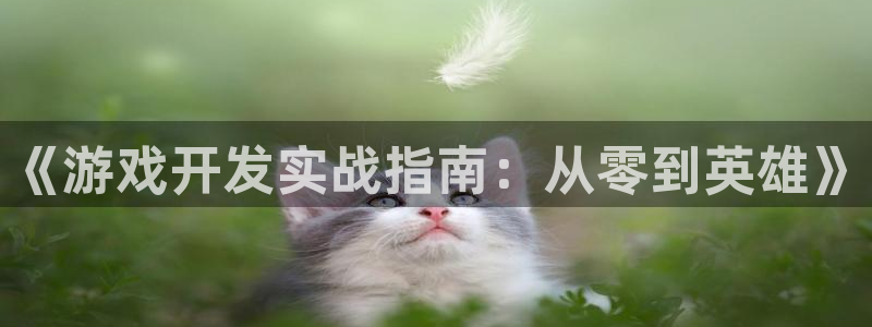 沐鸣2平台测速登录：《游戏开发实战指南：从零到英雄》