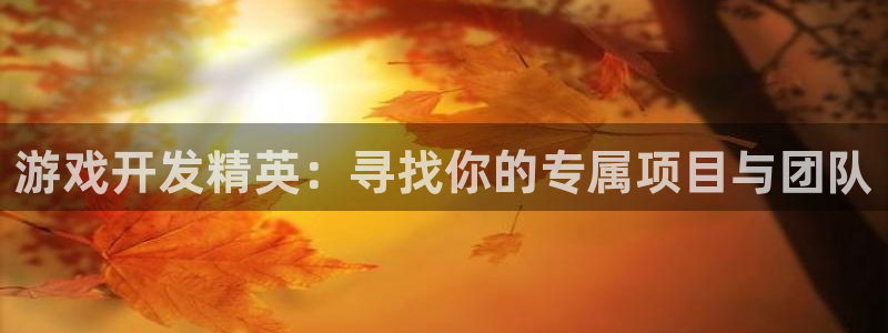 沐鸣2平台注册流程：游戏开发精英：寻找你的专属项目与团队