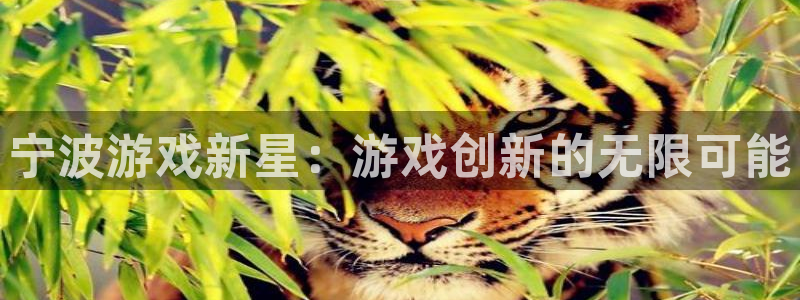 沐鸣2测速登陆