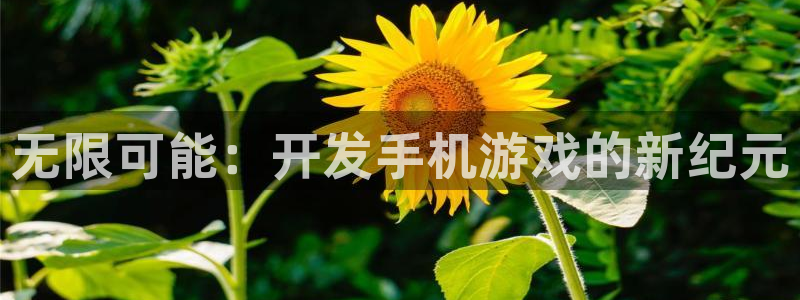 沐鸣娱乐2登录平台是什么软件