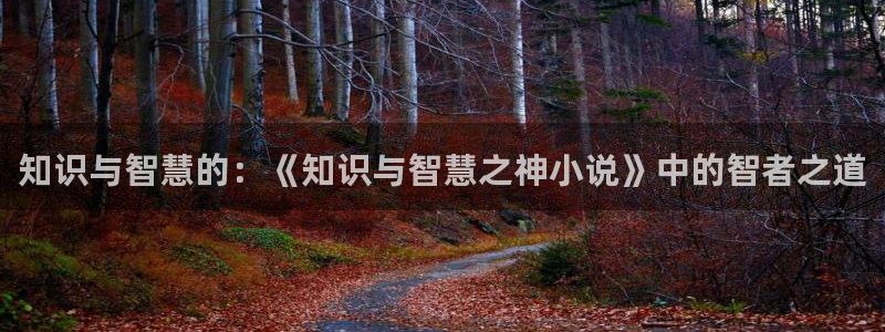 阅读免费小说